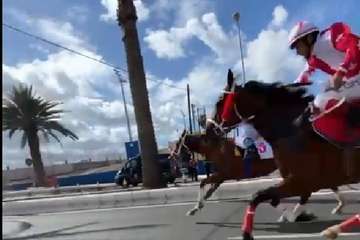  Telde disfruta con los pura sangre/TA.